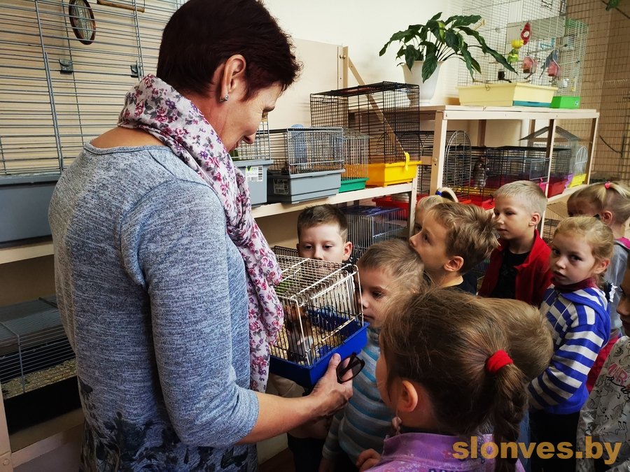 Живой уголок в детском саду – Детский сад и ребенок